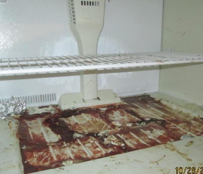 Photo of refrigerator contents after extensive power loss