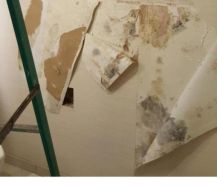 Moldy Wallpaper discovered during water remediation