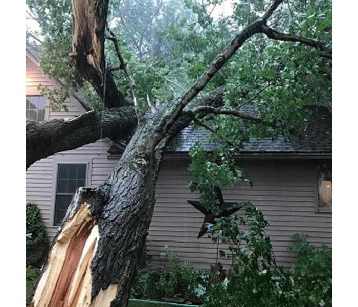 Photo of house with tree fallen onto it