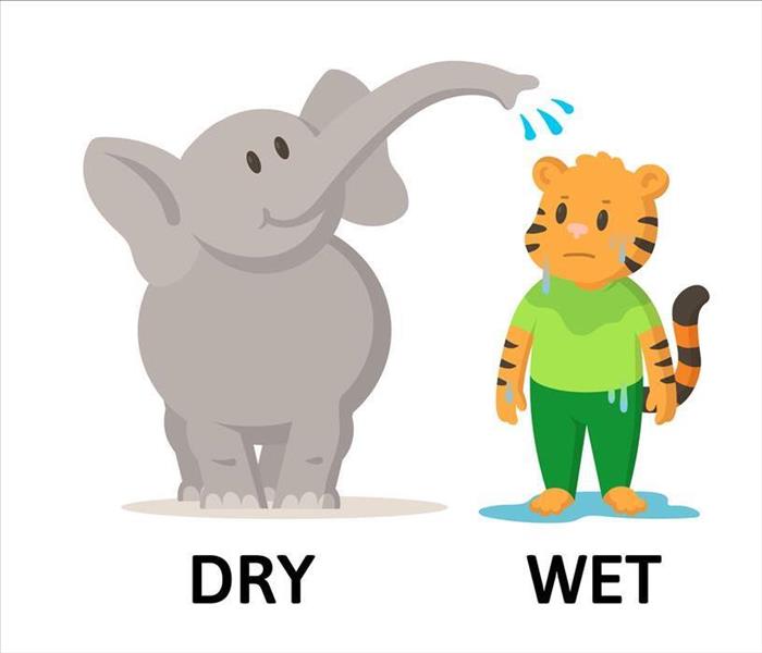 cartoon showing dry to wet with elephant