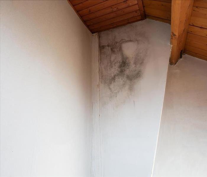 black mold on wall by ceiling