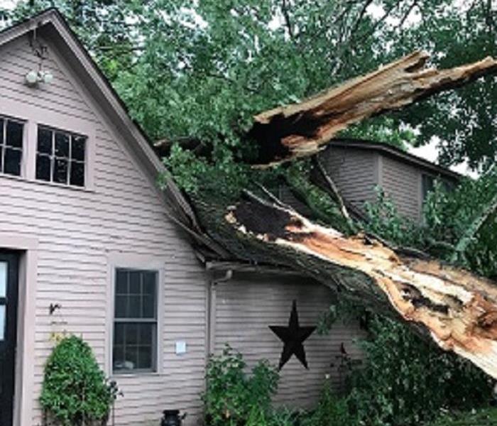 Photo of house with damage from fallen tree